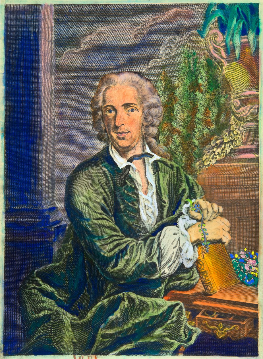 Portrait of Carl Von Linne (1707-1778) Swedish Naturalist by Anonymous Anonymous