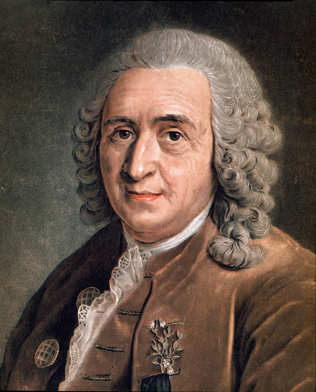 Portrait of Charles Linnaeus by Anonymous Anonymous