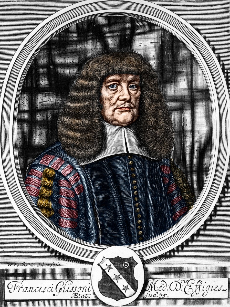 Portrait of Francis Glisson, British physician, anatomist. by Anonymous Anonymous