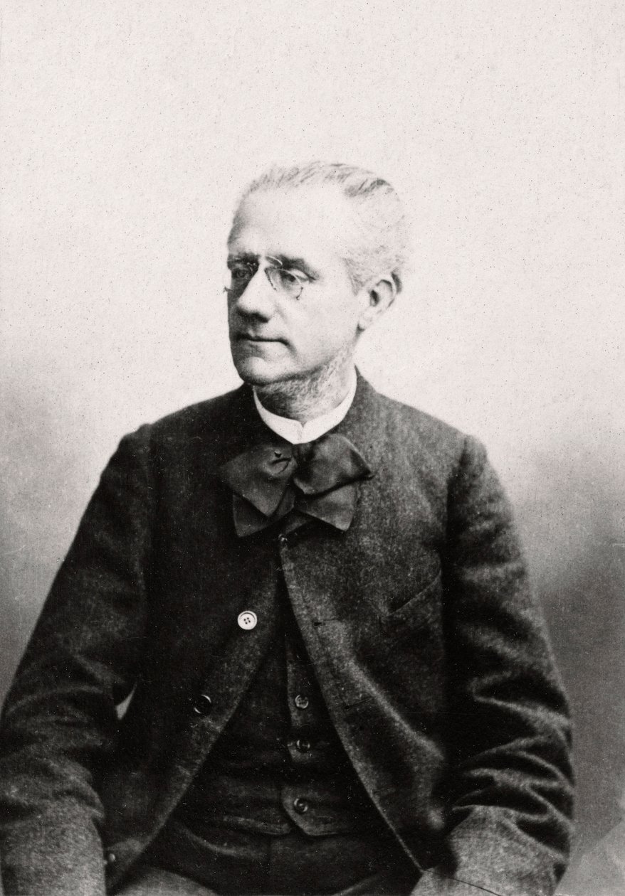 Portrait of Louis Eugene Pouillet (1835-1905) Lawyer by Anonymous Anonymous