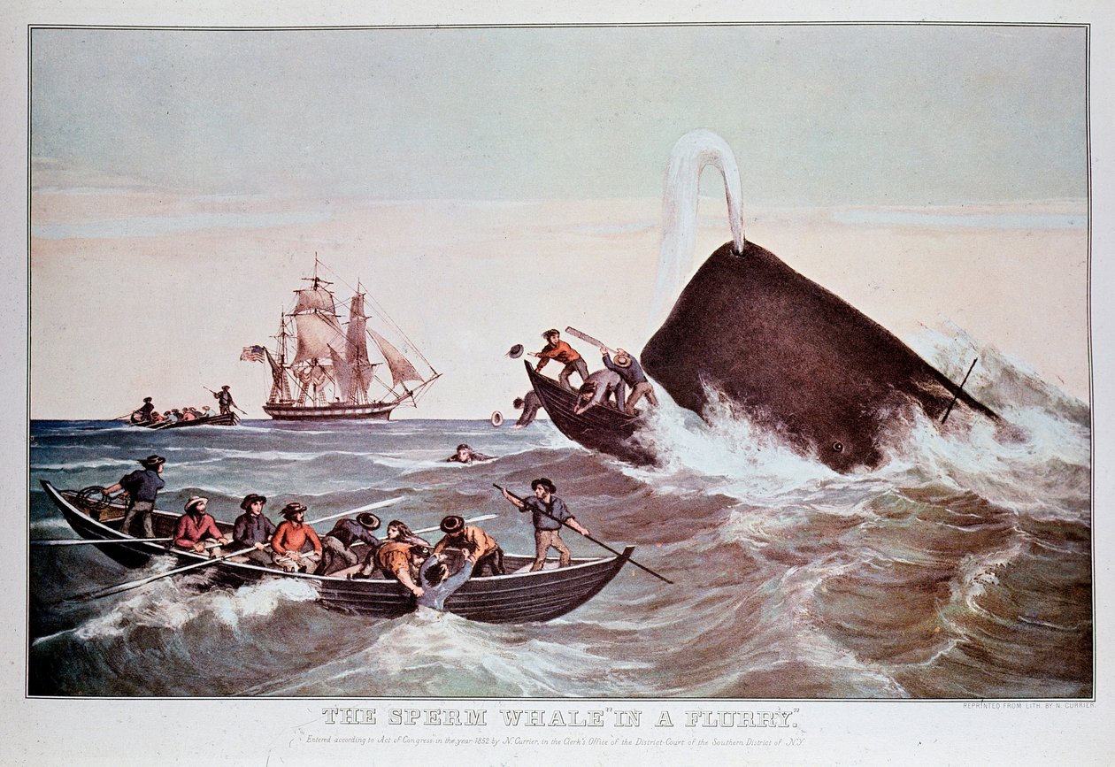 Sperm whales in the whirlpool, capsizes small boats by Anonymous Anonymous
