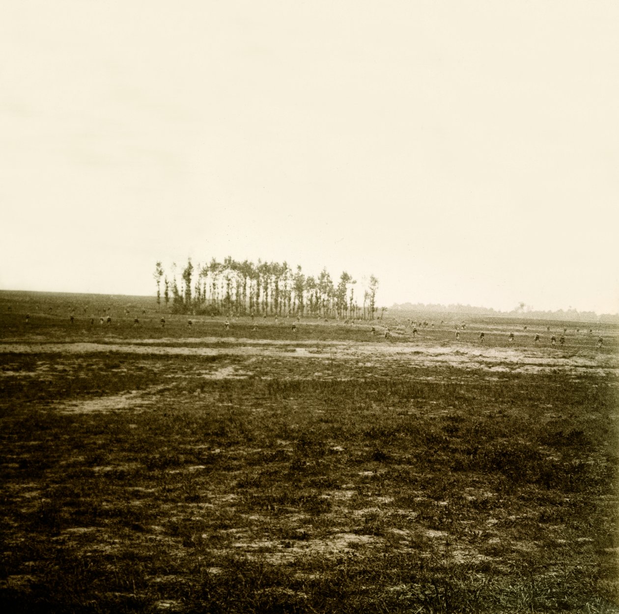 Stereoscopic glass plate on the First World War by Anonymous Anonymous