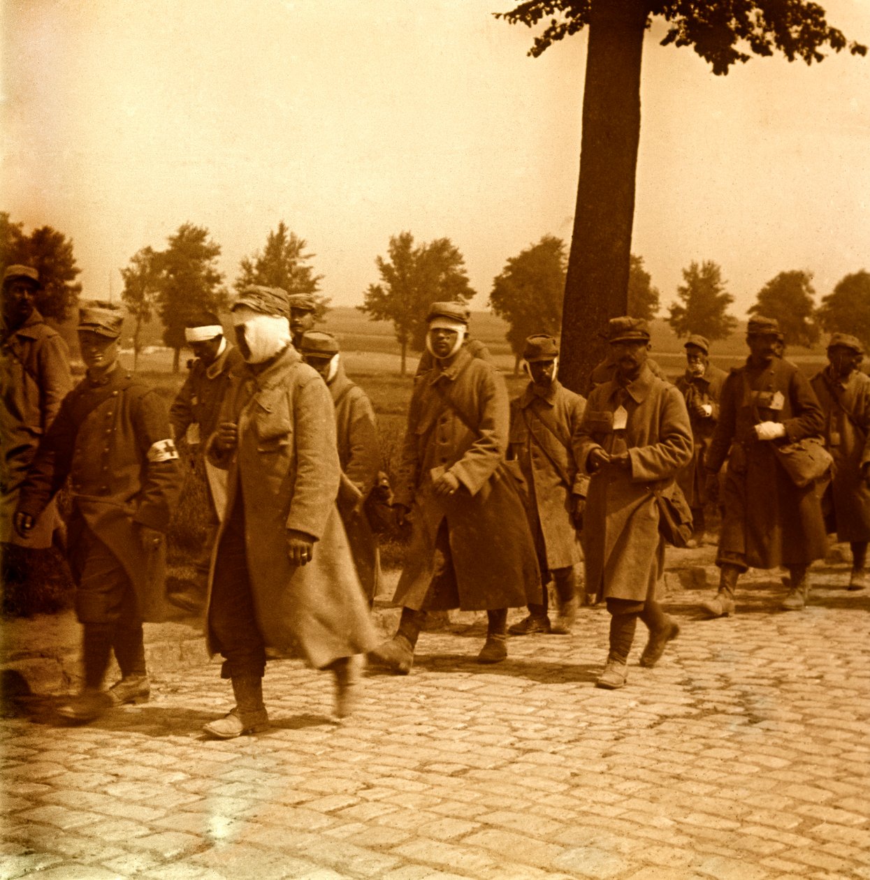 Stereoscopic glass plate on the First World War by Anonymous Anonymous