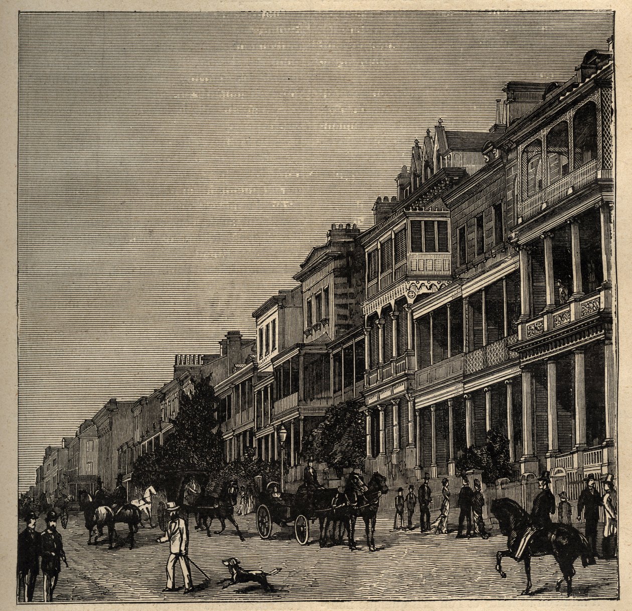 Sydney, Australia - 1890 by Anonymous Anonymous