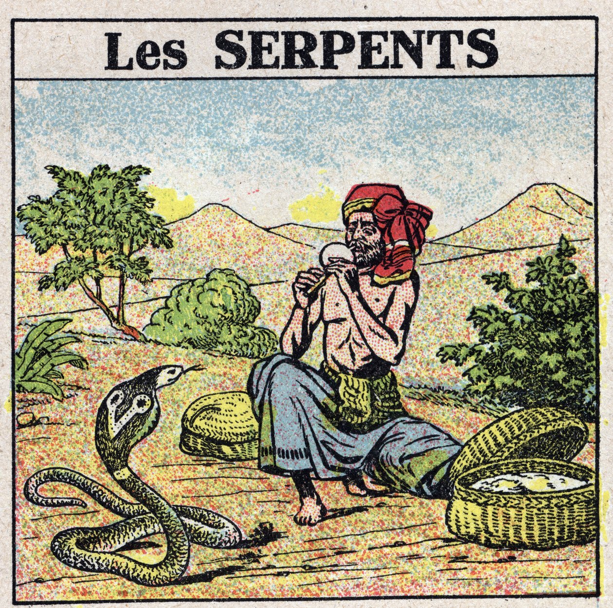 The effects of music: a charmer of cobras snakes. Anonymous ...