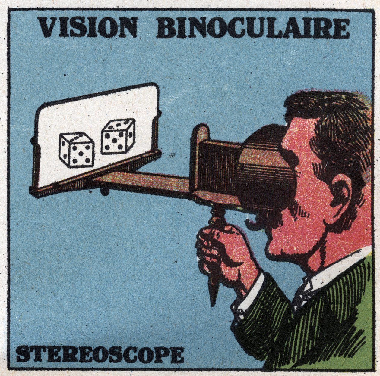 The eye: binocular vision. Use of a stereoscope to see in relief by Anonymous Anonymous