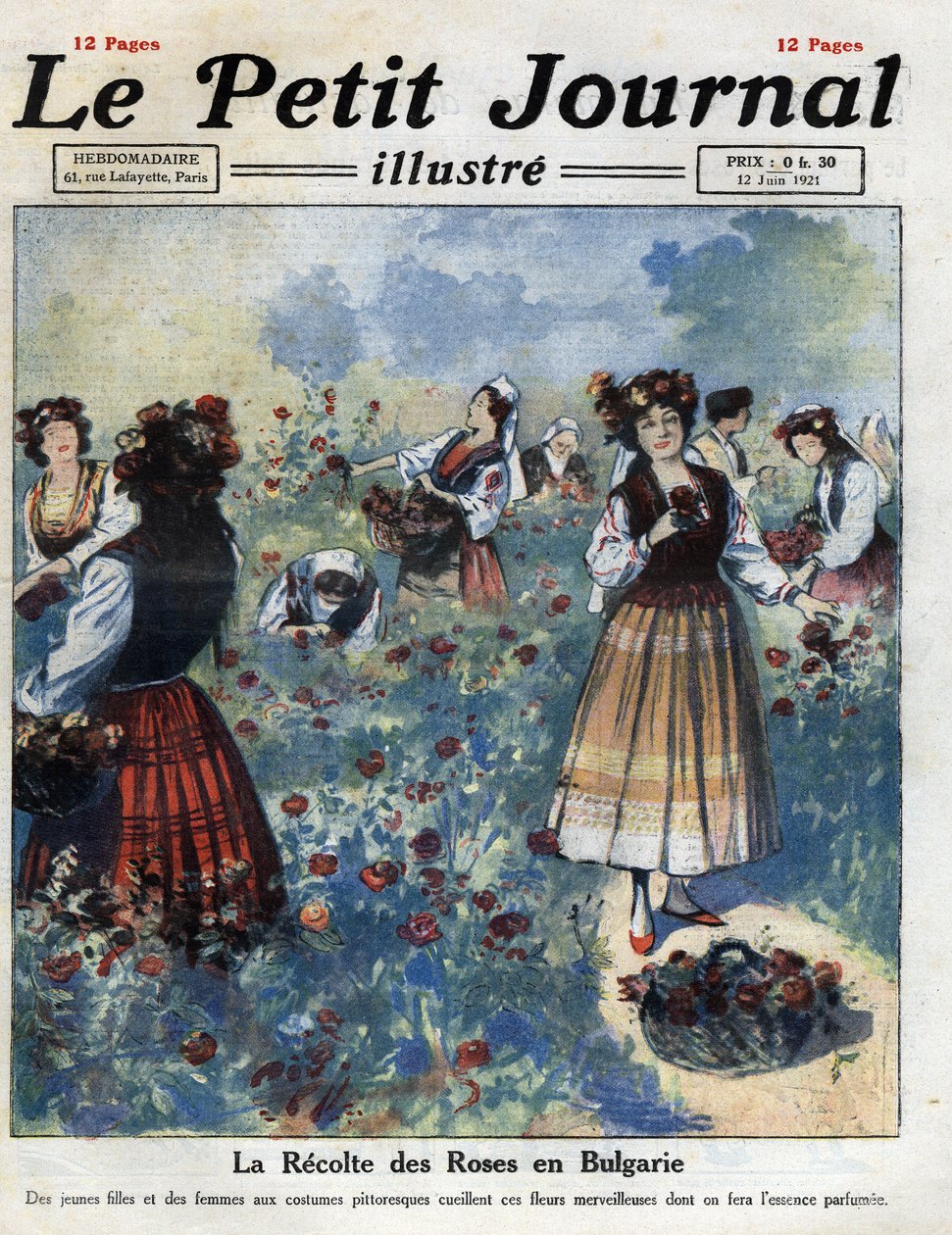Young women in traditional Bulgarian costume pick roses for the manufacture of rose water. Illustration taken from 
