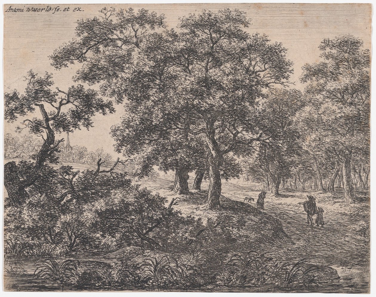The Three Trees, 17th century by Anthonie Waterloo