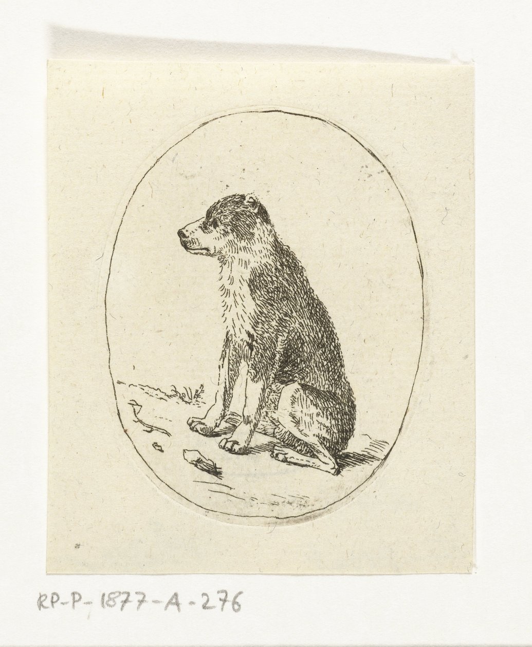 Sitting Dog by Anthonie van den Bos