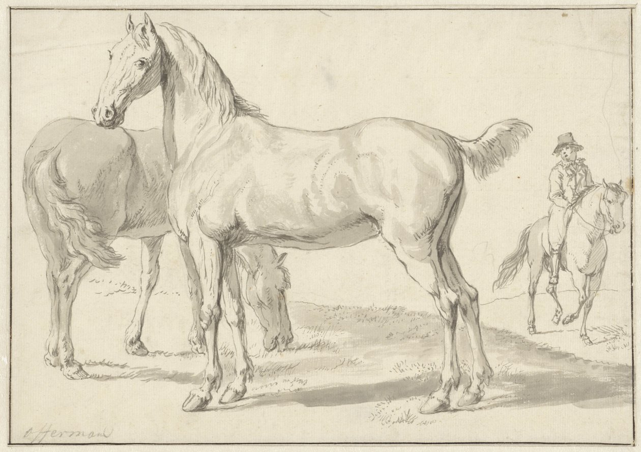 Two Horses in a Meadow, Rider on the Right by Anthony Jacobus Offermans