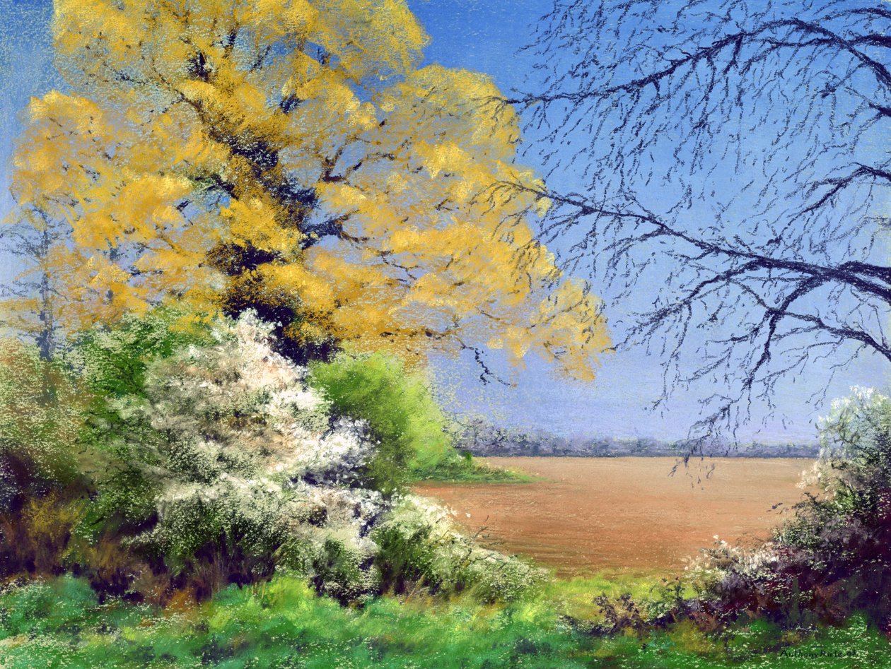 Blackthorn Winter by Anthony Rule