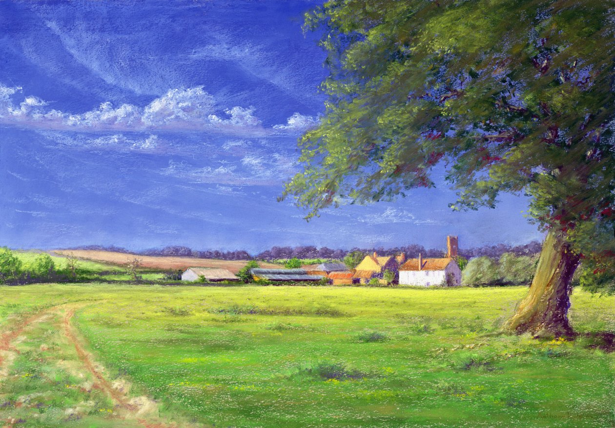 Home Field by Anthony Rule