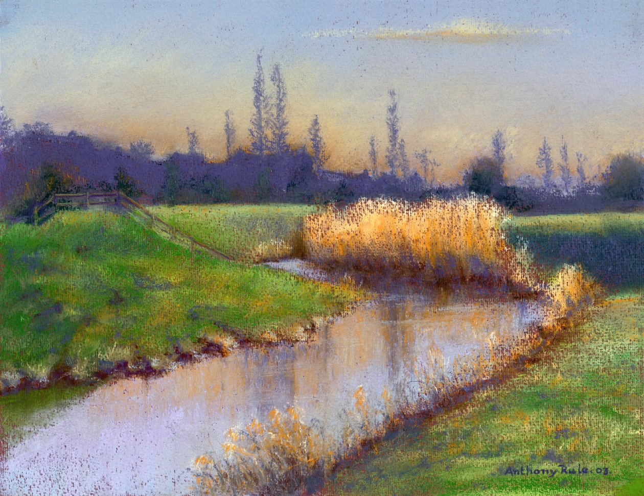 Winter Evening on the Clyst by Anthony Rule