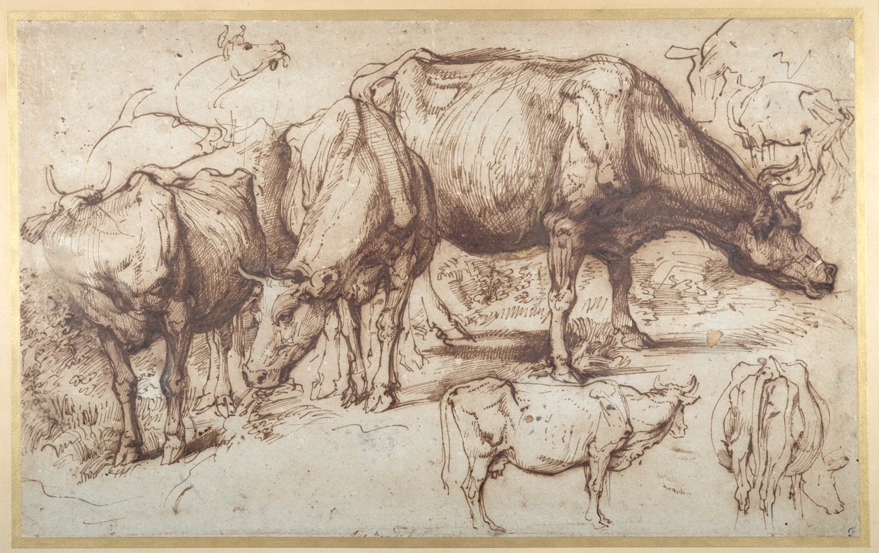 Cattle in Pasture, c.1618-20 by Anthony van Dyck