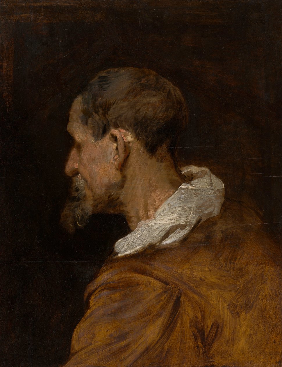 Head Study by Anthony van Dyck