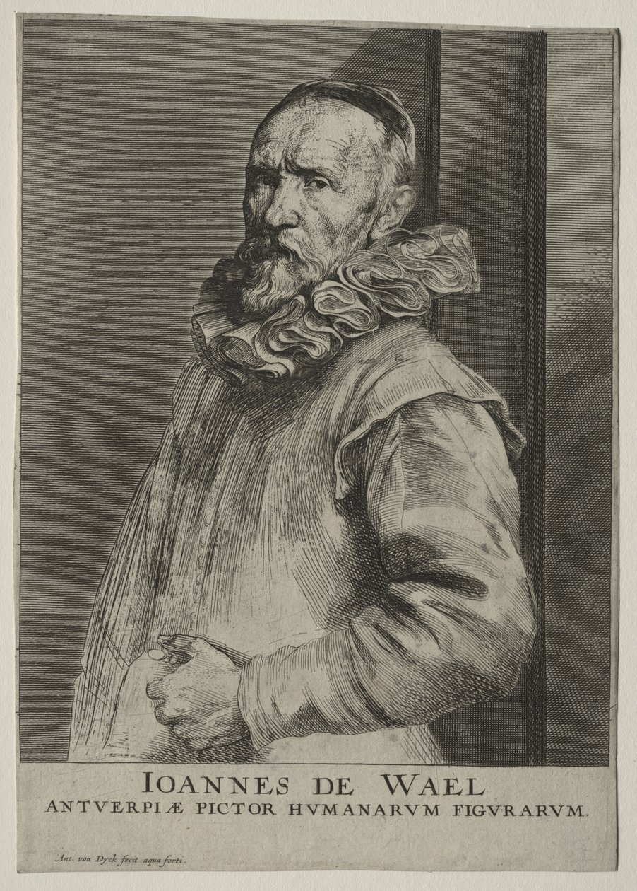 Portrait of Jan de Wael Nevers by Anthony van Dyck
