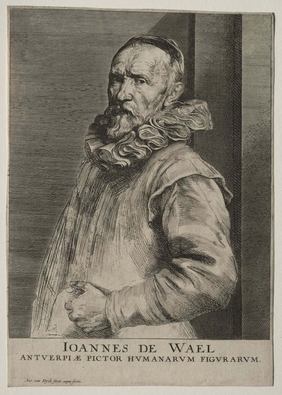Portrait of Jan de Wael by Anthony van Dyck