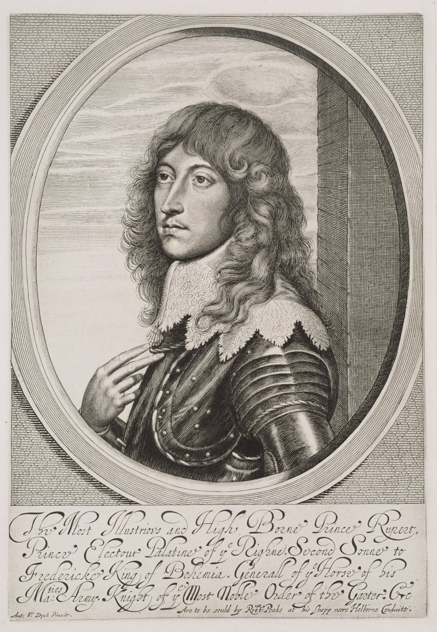 Portrait of Prince Rupert, Count Palatine of the Rhine and Duke of ...