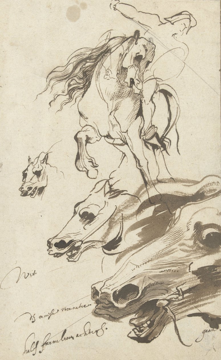 Study of Rider and Head of a Horse by Anthony van Dyck