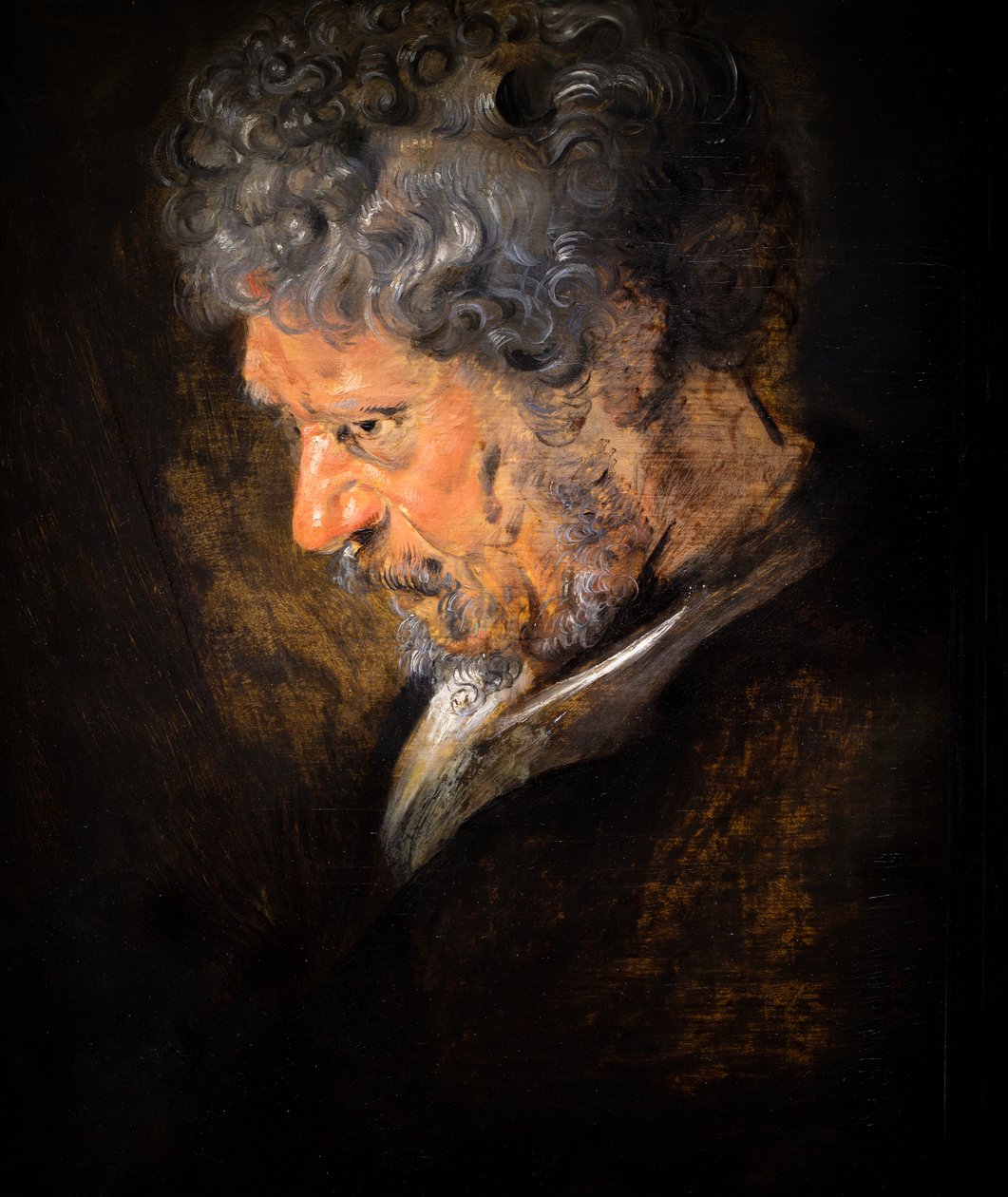Study of an Old Man