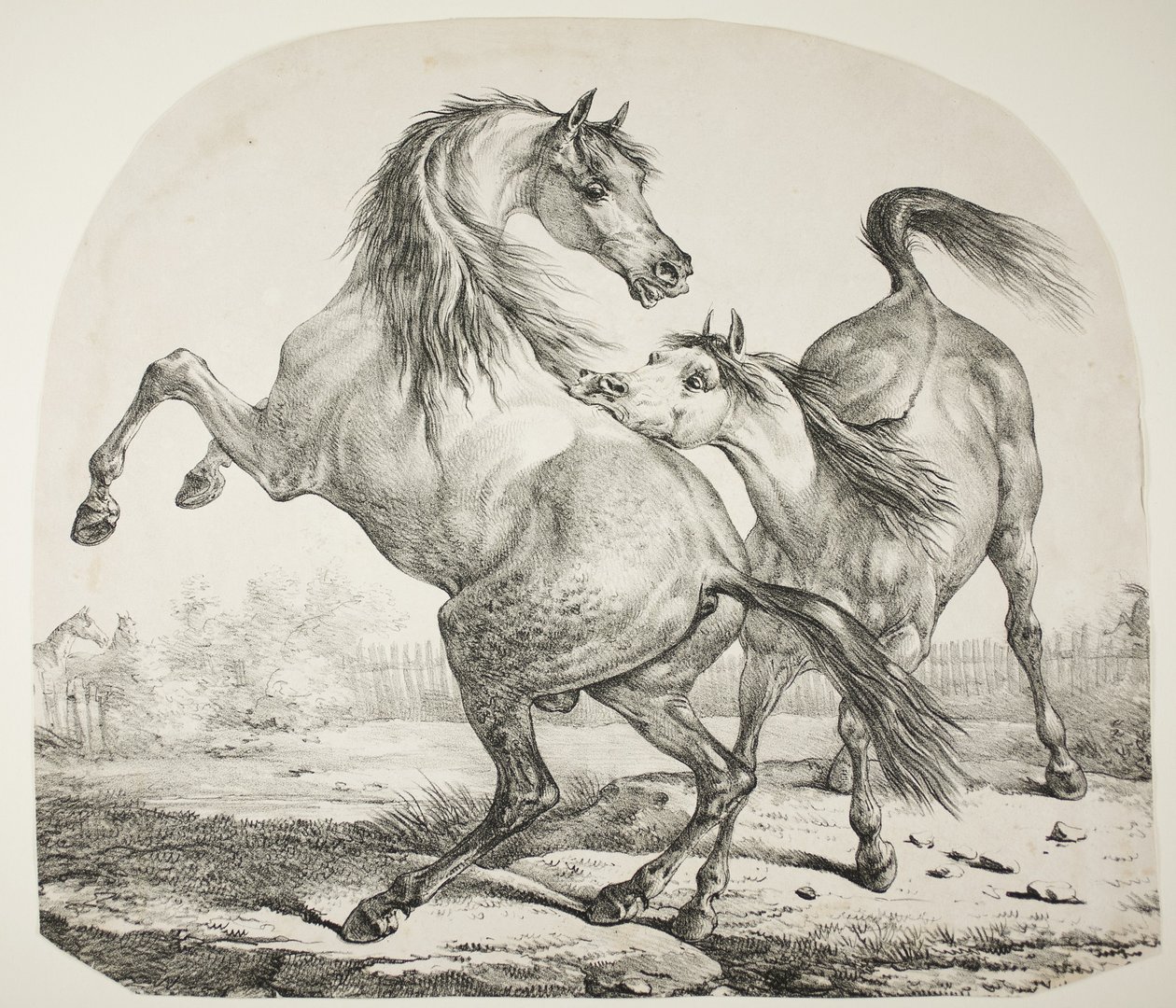 Wild Horses Fighting, c.1820 by Antoine Charles Horace Vernet