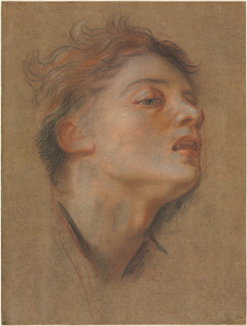 Head of a Young Man by Antoine Coypel
