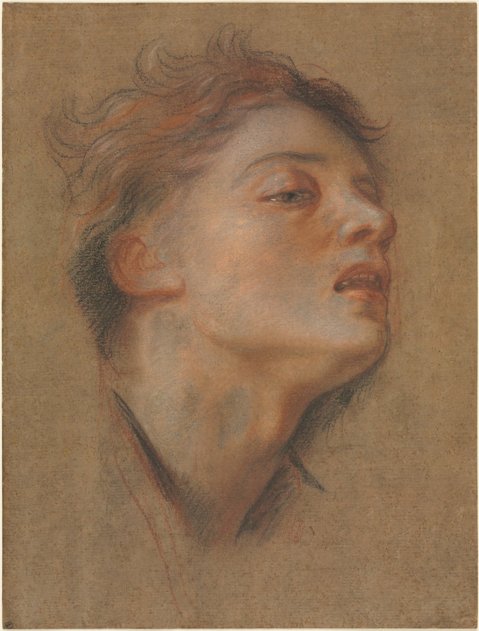 Head of a Young Man, 1715-1717 by Antoine Coypel