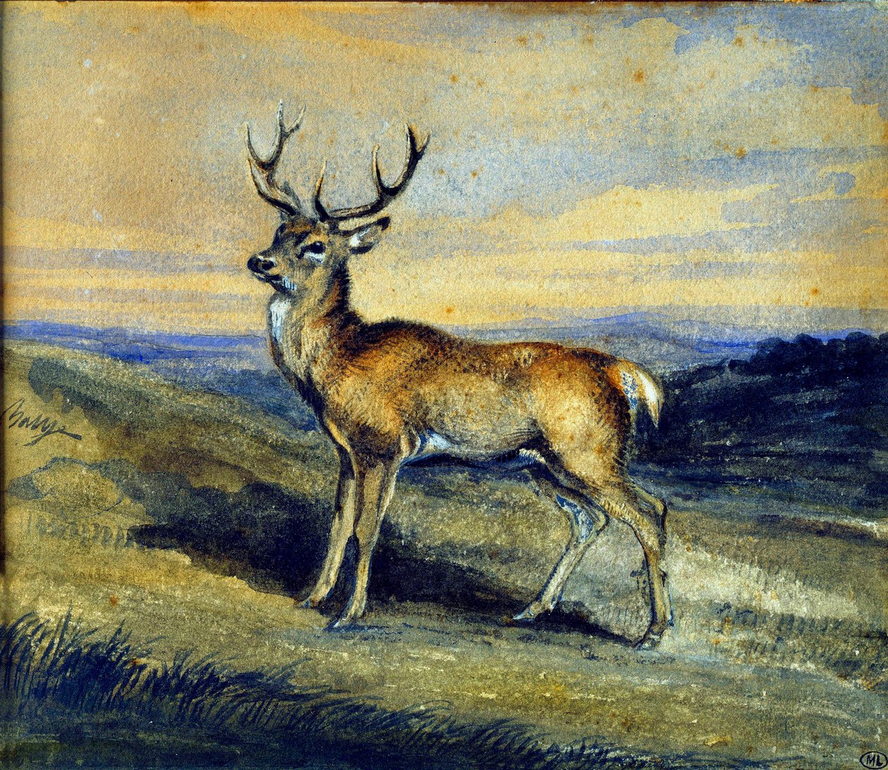 The Deer by Antoine Louis Barye