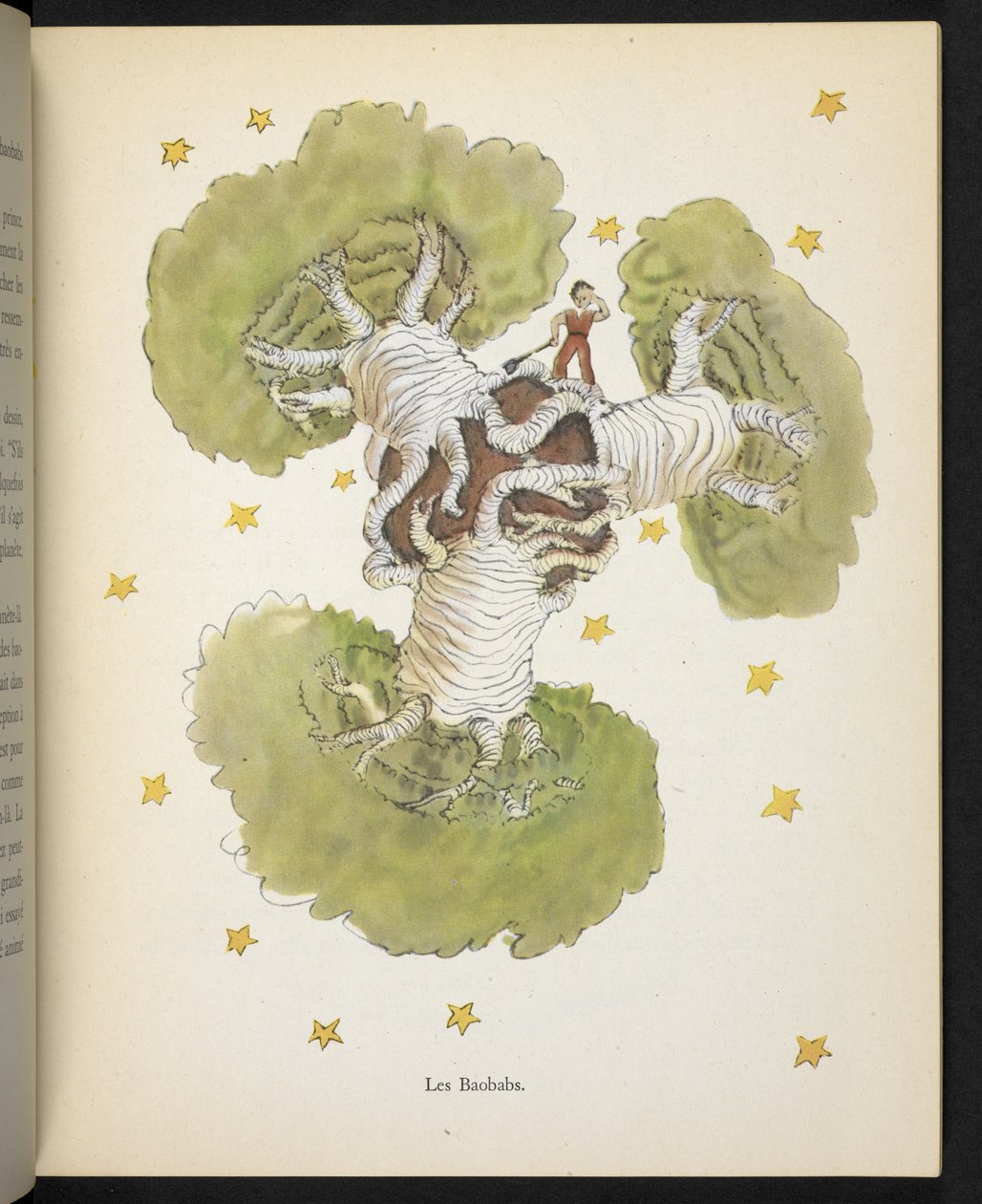 The Baobabs, illustration from 