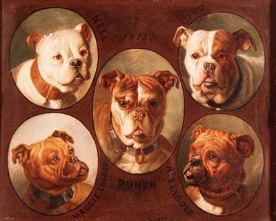 Nell, Dido, Punch, Maggie Lauder and Alexander, English Bulldogs by Antoine or Tony Dury