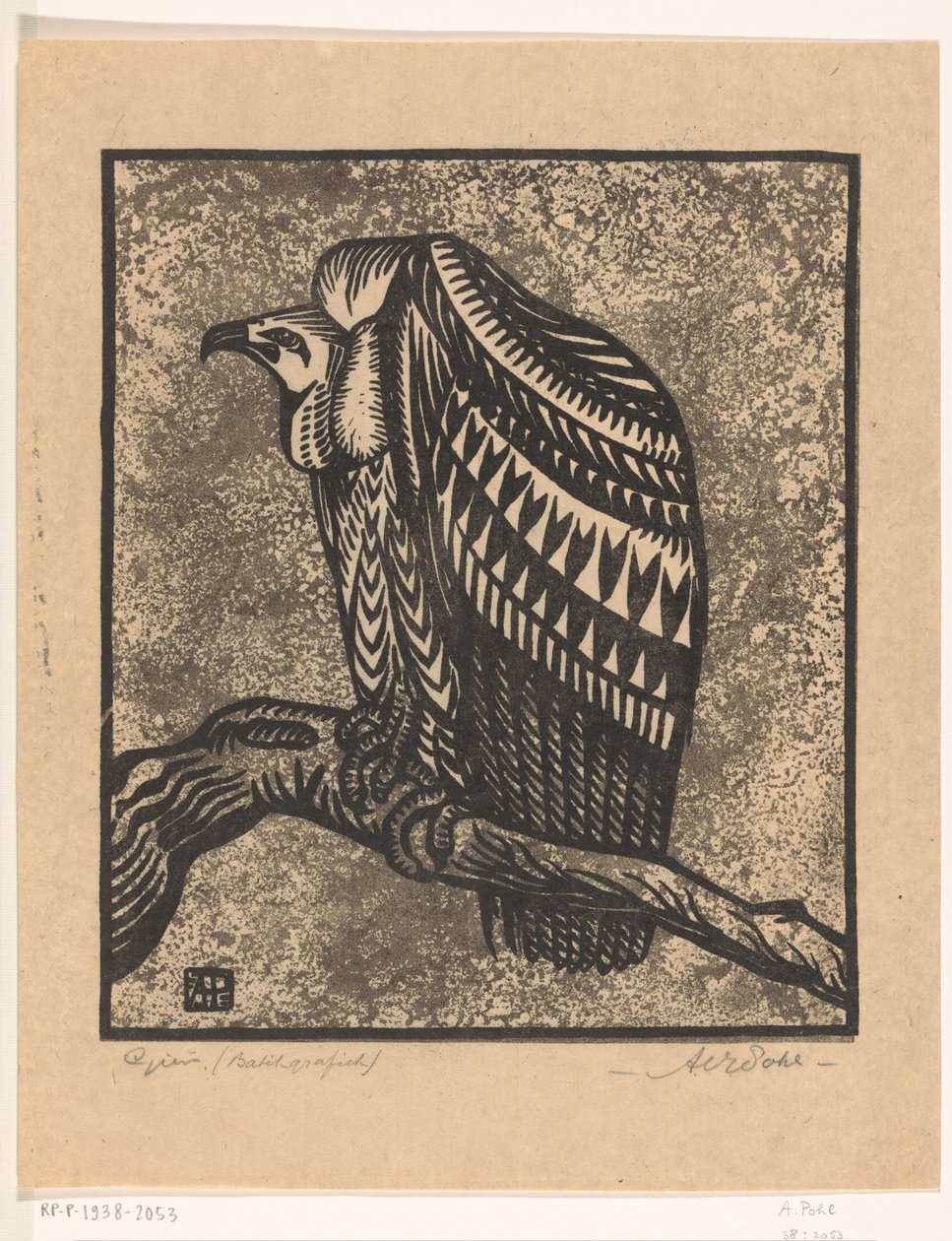 Vulture by Anton Vincent Emanuel Pohl (signed by artist)