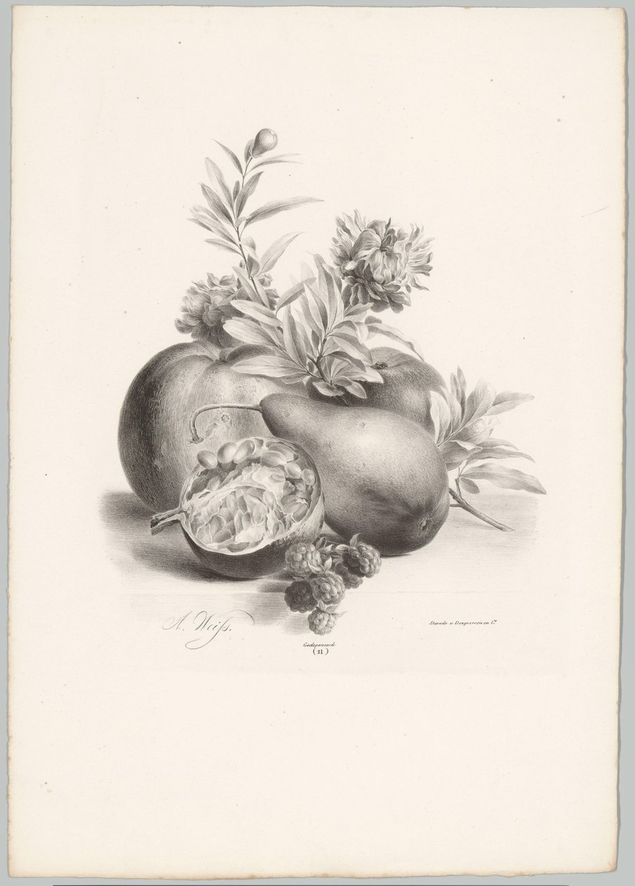 Flowers, Apples, Pear, Pomegranate, and Blackberries (Flower and Fruit Studies, 10th installment) by Anton Weiss