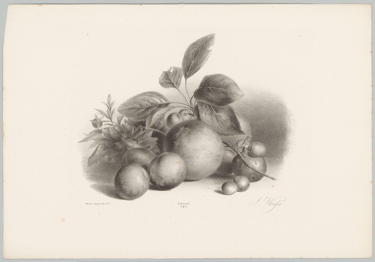 Flowers, Nectarines, and Hazelnuts by Anton Weiss