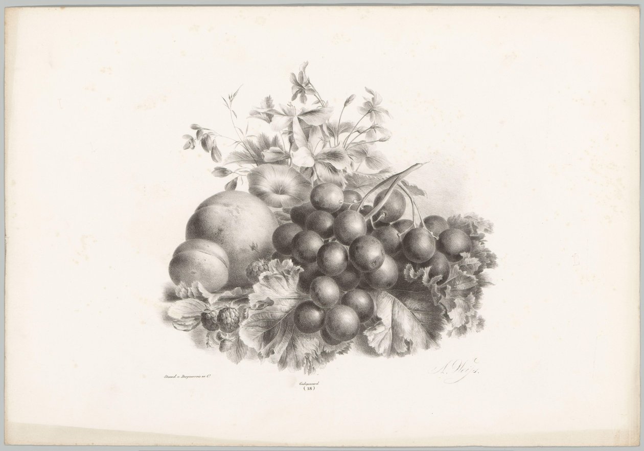 Flowers, Peach, Nectarine, Grapes, and Blackberries (Flower and Fruit Studies) (10th installment) (series title) by Anton Weiss