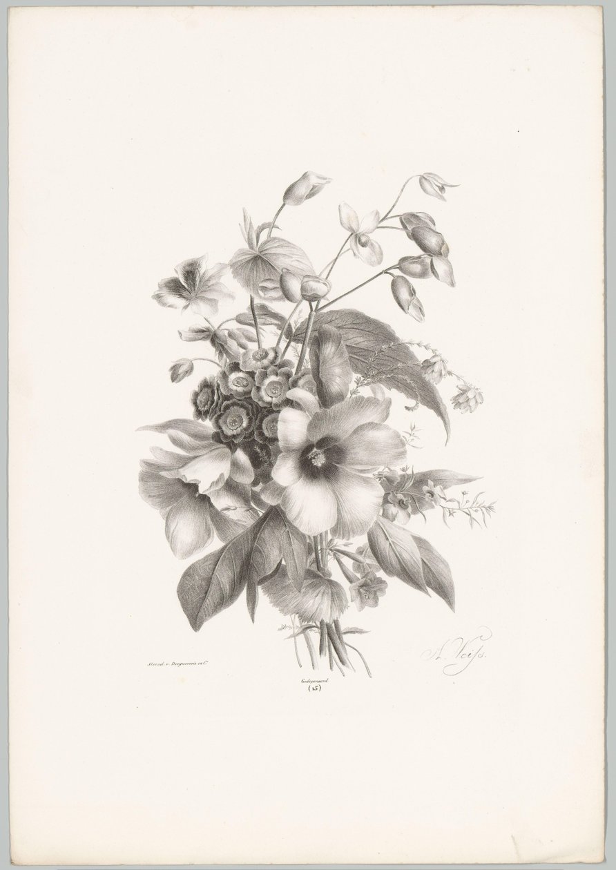 Various Flowers (Flower and Fruit Studies, 10th installment) by Anton Weiss
