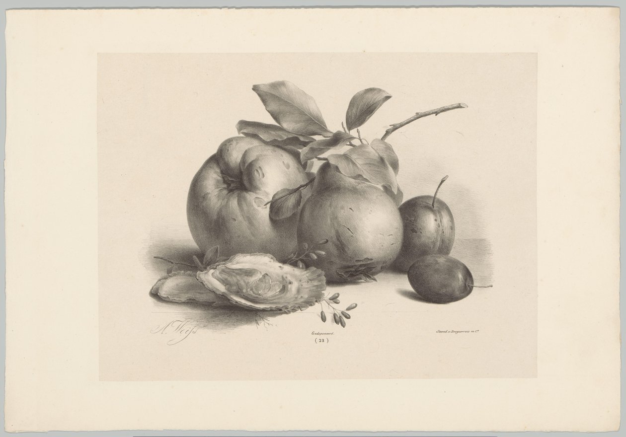Fruit, Plums, and Oysters by Anton Weiss