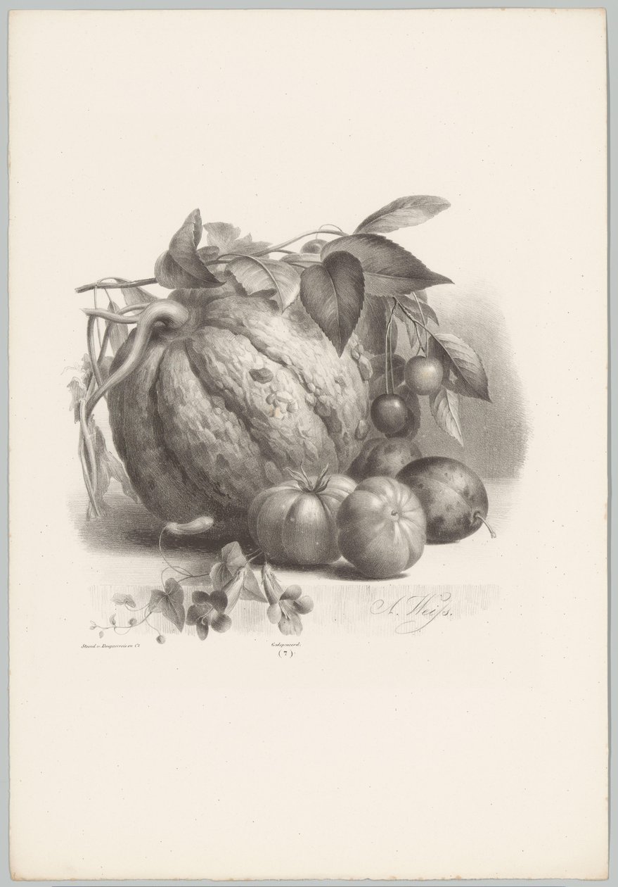 Pumpkin, Tomatoes, and Cherries (Flower and Fruit Studies, 10th Issue) by Anton Weiss