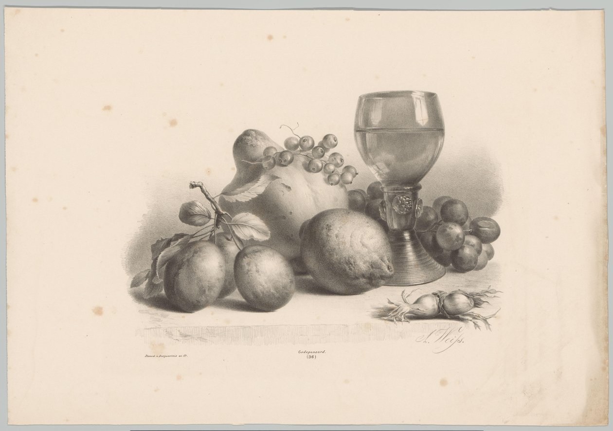 Still Life with Glass, Plums, Lemon, Grapes, and Hazelnuts (Flower and Fruit Studies, 10th installment) by Anton Weiss