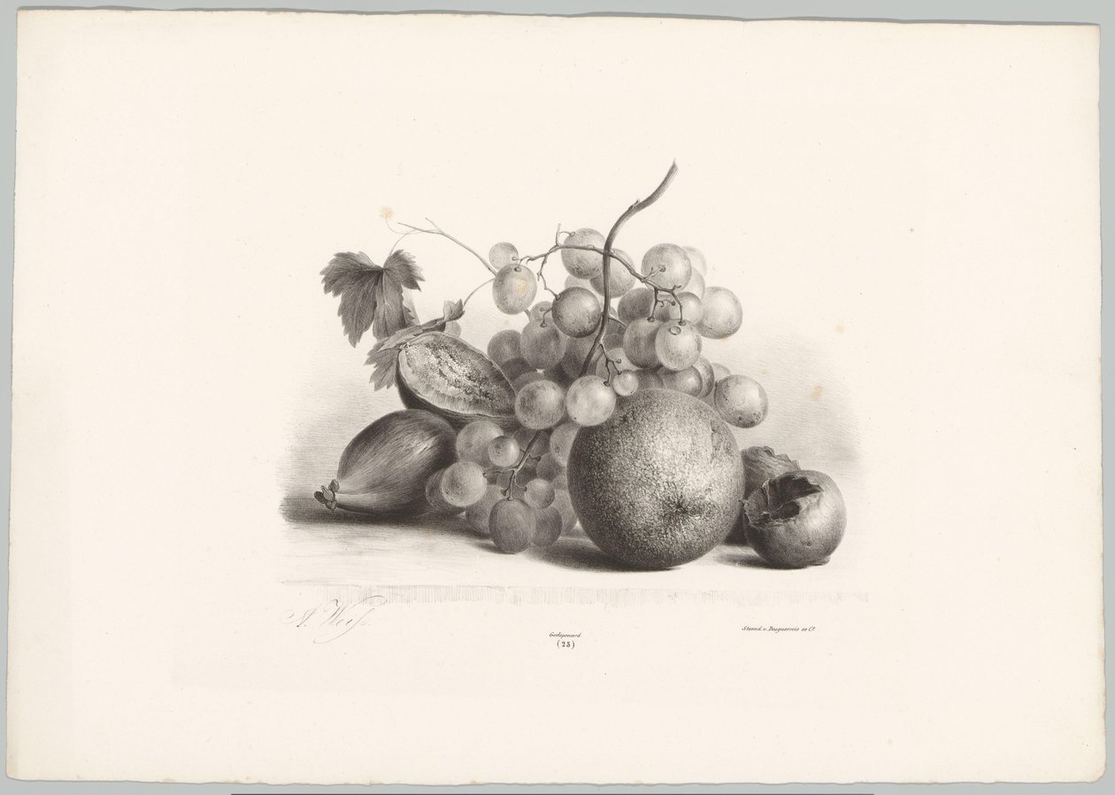Figs, Grapes, and Orange by Anton Weiss