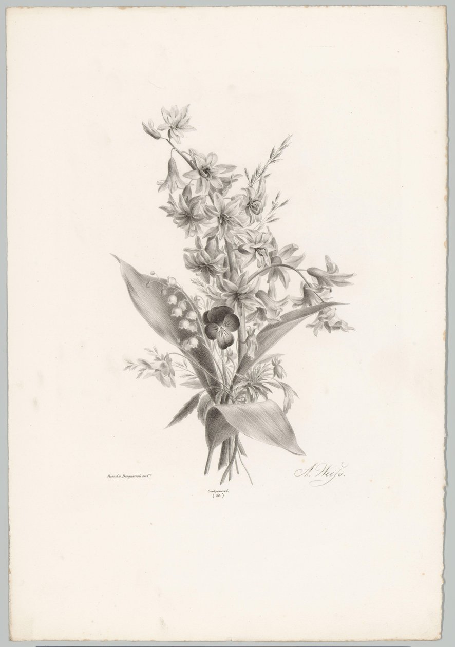 Violet and Hyacinth and Bell-Shaped Flowers (Flower and Fruit Studies, 10th Issue) by Anton Weiss