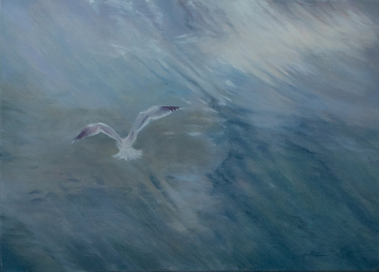 Seagull flying away, 2012 by Antonia Myatt