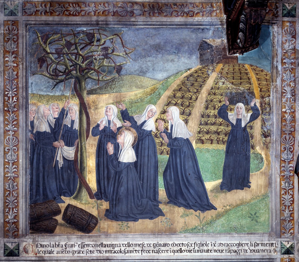 Life of Saint Francoise Romaine: The saint maintaining the vineyard with the sisters makes grapes appear in January by Antoniazzo Romano