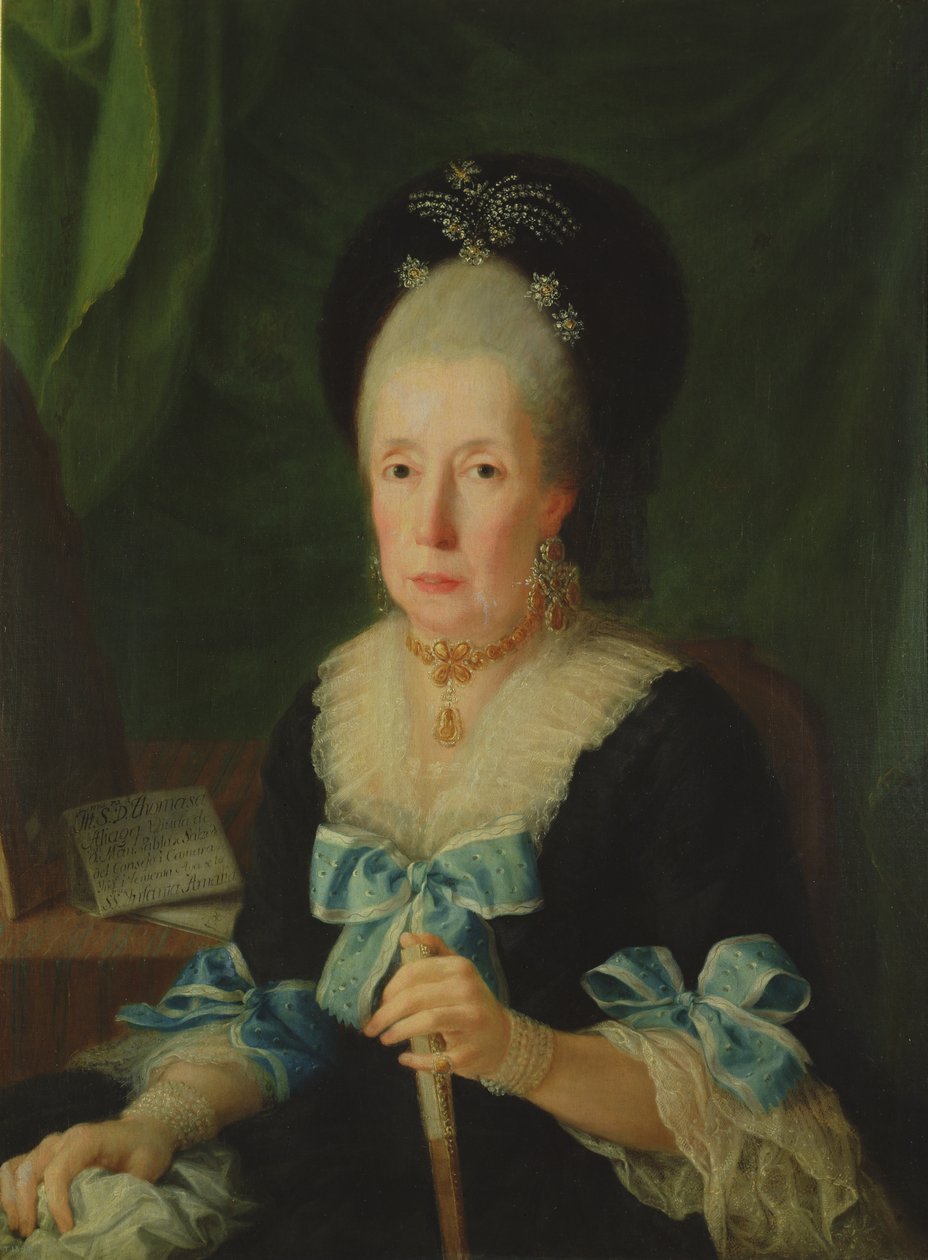 Dona Tomasa de Aliga by Antonio Carnicero