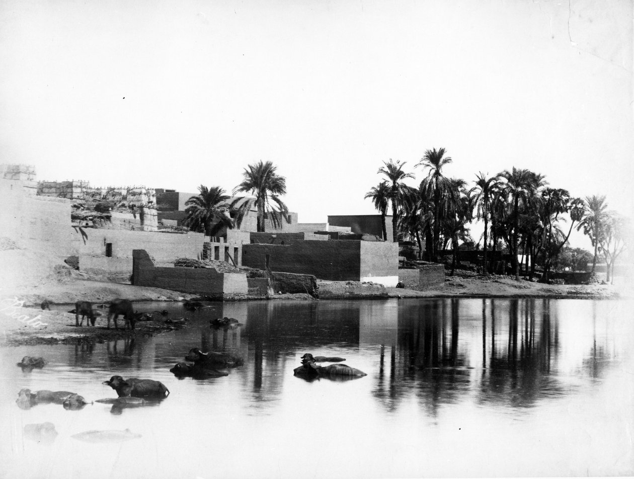 Luxor Seen from a Nile Boat by Antonio Beato
