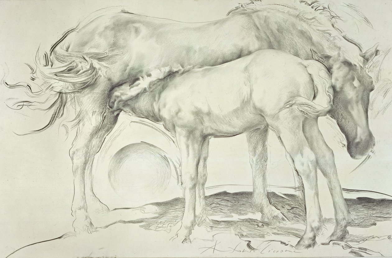 Horses at Coolmore, 1990 by Antonio Ciccone