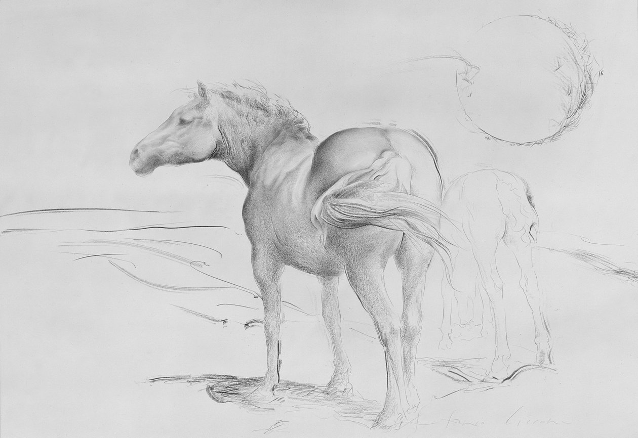Horses at Coolmore, 1990 by Antonio Ciccone