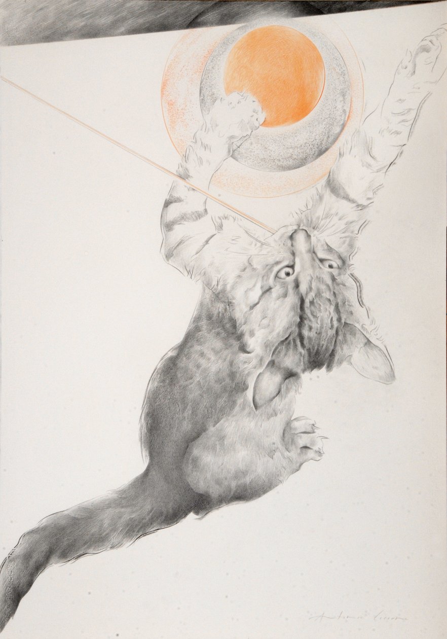 Unknown Image by Antonio Ciccone