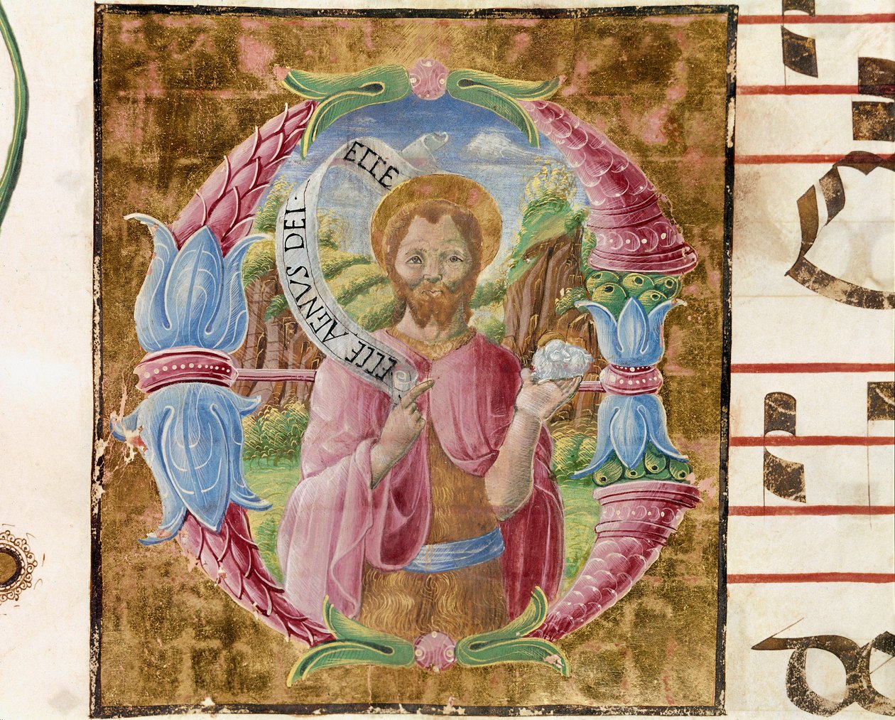 Saint John the Baptist. Lettrine illuminated by Antonio Cicognari. Detail of an antiphonary. 1483 by Antonio Cicognara