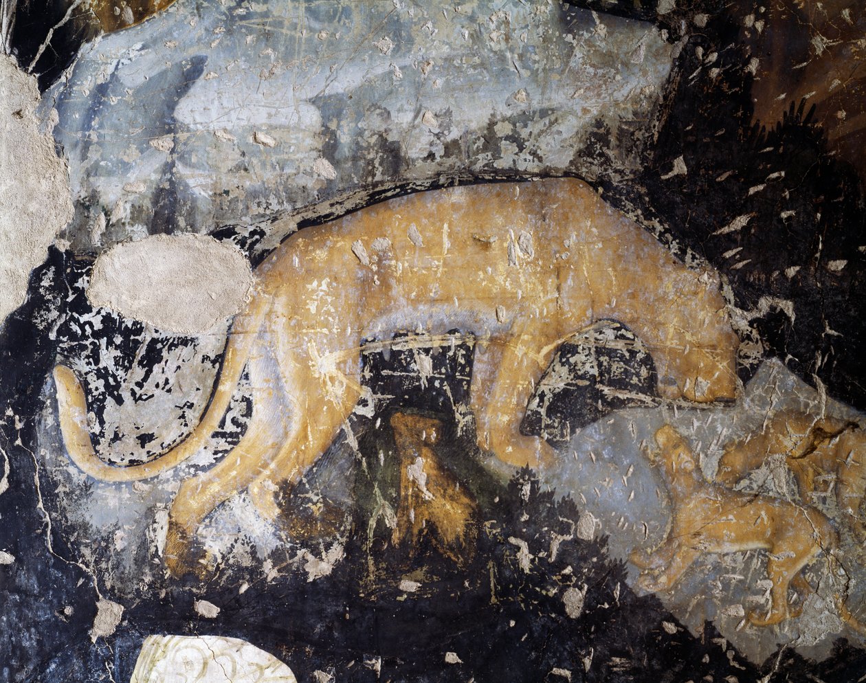 Dog (detail) by Antonio Pisanello