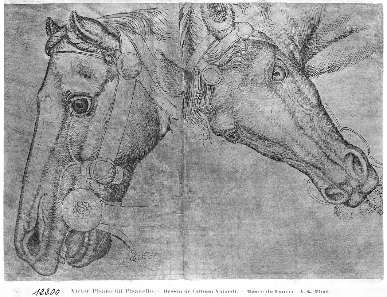 Heads of Horses, from the Vallardi Album by Antonio Pisanello